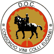 vinidoc